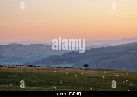 Coucher du soleil sur la frontière galloise près de Knighton - vue ouest de Stonewall Hill dans le Herefordshire vers les collines du Pays de Galles Banque D'Images