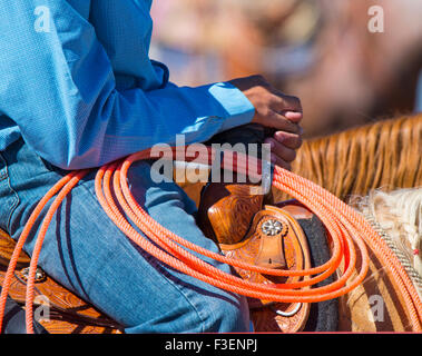 Rodeo's, Bruneau Round-Up, Cowboy Holding on to saddle horn. Bruneau, California, USA Banque D'Images