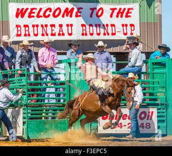 Rodeo's, Bruneau Round-Up, saddle bronc riding, Bruneau, California, USA Banque D'Images