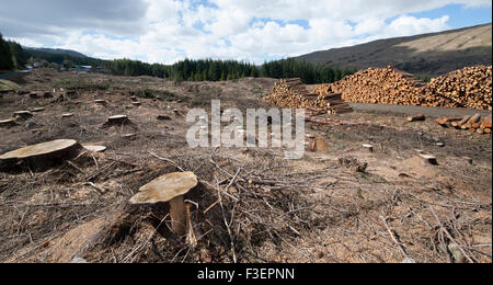 Consignation à Breadalbane, Ecosse, Royaume-Uni. Banque D'Images