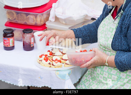 Les membres de l'Institut féminin de faire des gâteaux et des scones sur l'étal pour vendre avec un plateau au Festival de l'économie. UK Banque D'Images