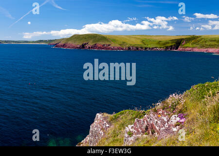 Le grès rouge coloré près de la côte dans la baie de Tenby, Pembrokeshire Coast National Park, Pays de Galles, Royaume-Uni Banque D'Images