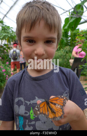 Garçon de 5 ans holding butterfly, Butterfly Farm et Wye Valley Zoo, Symonds Yat, Herefordshire, Angleterre, RU Banque D'Images