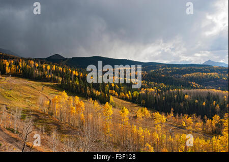 Feuille d'automne dans la région de Telluride, Colorado dispays vu depuis une gondole Banque D'Images