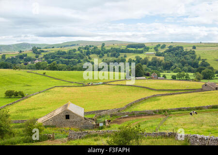 Beau paysage dans le Yorkshire Dales près de Malham Banque D'Images