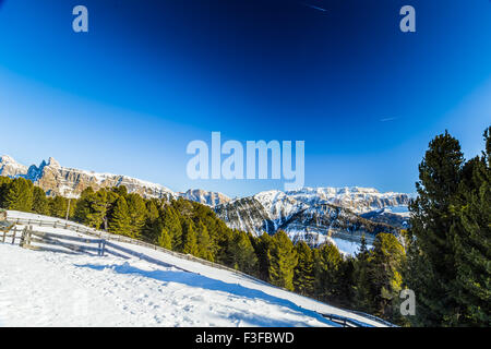 Clôture en face de la Dolomite montagnes couvertes de neige blanc et vert les conifères en Italie Banque D'Images