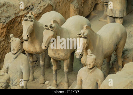 Des statues de guerriers en terre cuite et leurs chevaux dans la fosse 1 de l'armée de terre cuite ; ; ; ; dynastie des Qin Xian Chine Banque D'Images