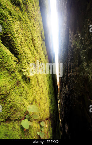 Grottes d'Edakkal, Edakkal, Nenmeni, Kalpetta, district de Wayanad, WESTERN Ghats, Vynadu, Kerala, Inde, Asie Banque D'Images