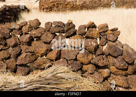 Un mur de pierre ; ; Konkan Maharashtra Sindhudurg district ; Inde ; Asie ; Banque D'Images