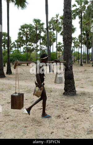 Sap Palm recueillies par tapper près de Tiruchendur Tamil Nadu ; Inde ; Banque D'Images