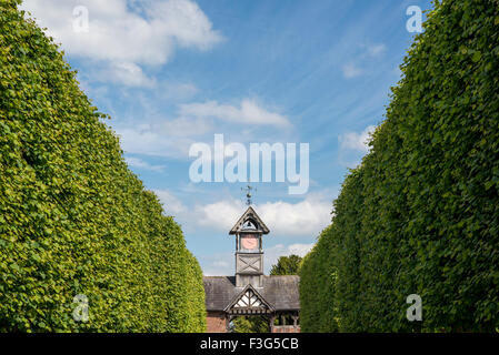 Avenue de chaux Pleached menant à un tour de l'horloge à Arley Hall gardens dans Cheshire sur une journée ensoleillée. Banque D'Images
