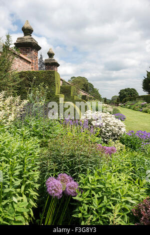 Frontières herbacées célèbre à Arley Hall dans Cheshire avec début de l'été de la plantation. Banque D'Images