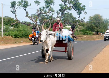 L'homme chargé de conduire charrette sur la route nationale numéro 49 à Rameswaram ; Char Dham ; Tamil Nadu Inde ; Banque D'Images