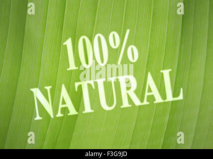 100 p. Texte écrit naturel sur une feuille verte en arrière-plan Banque D'Images