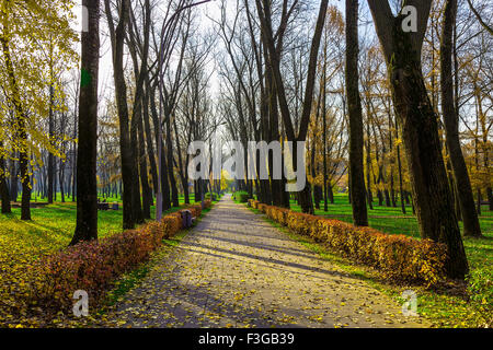 Arbres et arbustes le long des ruelles de parc en journée ensoleillée en saison d'automne Banque D'Images