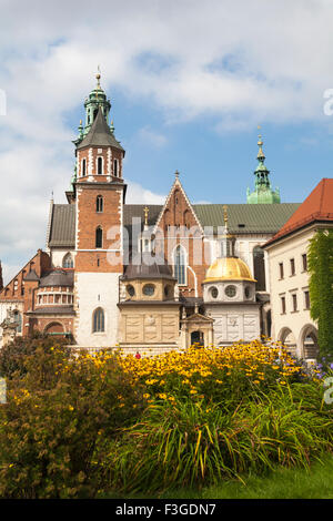 Vue sur le Château Royal de Wawel et la Cathédrale sur la colline de Wawel avec fleurs en premier plan, Cracovie, Pologne en septembre Banque D'Images