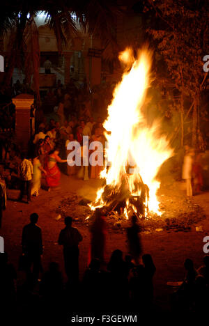 Festival Holi feu de bois ; avec un bâton et de l'herbe sèche ; Bombay Mumbai Maharashtra ; Inde ; Banque D'Images