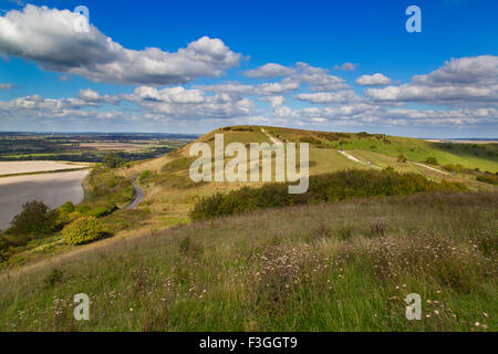 Le chemin d'accès et interurbains Ridgeway Downland Chiltern Hills Ivinghoe Bucks UK Banque D'Images