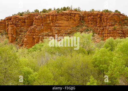 Montagnes de grès rouge et de flux sur la façon de Sedona ; U.S.A. United States of America Banque D'Images