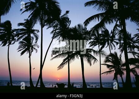Vue du coucher de soleil à travers les cocotiers à Colva beach Goa ; Inde ; Banque D'Images
