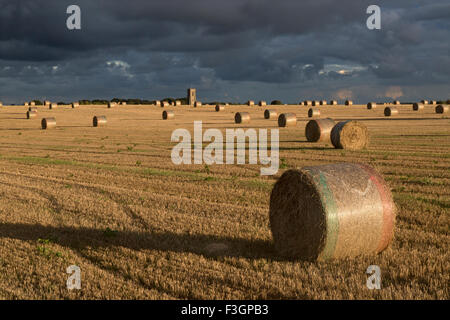 Après la récolte avec St James Church Southrepps dans la distance Norfolk UK Banque D'Images