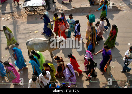 Les personnes qui s'y passé et de vache ; Varanasi Uttar Pradesh ; Inde ; Banque D'Images