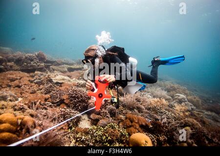 Plongeur femelle mène une enquête scientifique sur un récif de corail, Raja Ampat, Papouasie occidentale, en Indonésie Banque D'Images