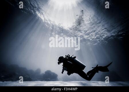 Profile de plongée sous marine natation près de récifs coralliens, Lombok, Indonésie Banque D'Images