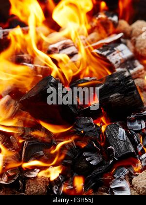 Le feu, brûlant du charbon de bois Banque D'Images