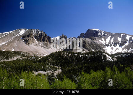 États-Unis, Nevada, parc national de Great Basin, Wheeler Peak Banque D'Images