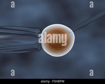 La fécondation in vitro. 3D illustration d'un clonage in vitro assay Banque D'Images