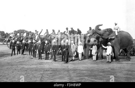 L'armée indienne britannique en 1900 Batterie d'éléphants Banque D'Images