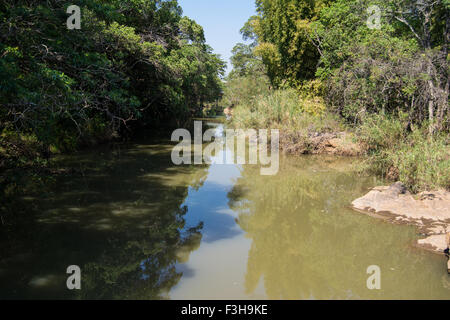 Vue panoramique de la rivière Crocodile à partir du pont de Lowveld National Botanic Garden Banque D'Images