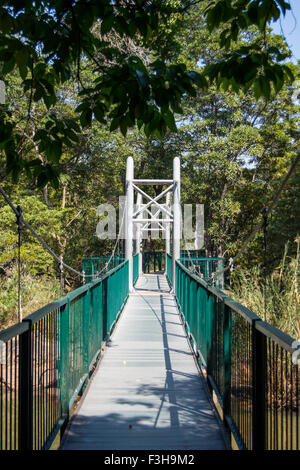 Le pont suspendu au-dessus de la rivière Crocodile dans le Lowveld National Botanical Garden Banque D'Images