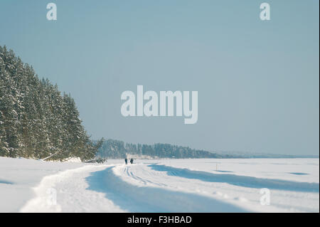 Ski de route autour de lac gelé. Sotkamo, Finlande. Banque D'Images