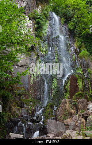 Cascade du Nideck, Alsace, France Banque D'Images