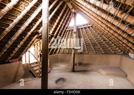 Yoshinogari Park, au Japon. Re-construit Yagoi de règlement. Minami no Mura, village du sud. Intérieur de l'habitation à la famille montrant le plancher et le toit. Banque D'Images