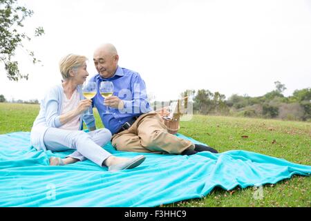 Senior couple having picnic in park, tenant des verres à vin Banque D'Images