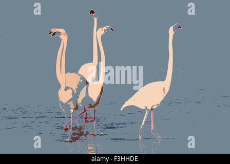 Groupe de flamants roses Banque D'Images