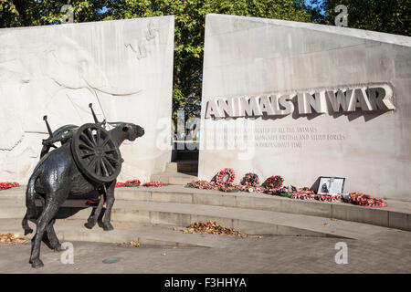 Les animaux en monument aux morts situé sur Park Lane à Londres. Le monument commémore tous les animaux qui ont servi et di Banque D'Images