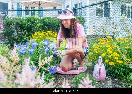 Woman pruning flowers in garden Banque D'Images