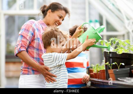 Mid adult woman et deux fils d'arroser les plants in greenhouse Banque D'Images