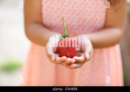 Cropped shot of girl holding a des fraises fraîches dans le jardin Banque D'Images