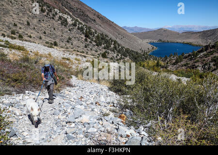 Randonneur et dog walk up chemin raide de Convict Lake, à distance, à Mildred Lake dans l'Est de la Sierra Banque D'Images