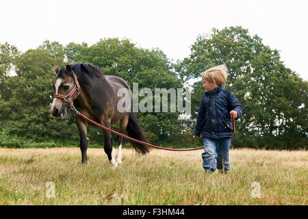 Petit garçon menant au champ de poney Banque D'Images