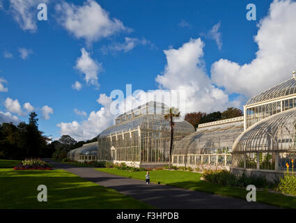 Le Glasshouse curviligne construit 1843-69, par Richard Turner, rénové en 2004, National Botanic Gardens, Glasnevin, Dublin, Irlande Banque D'Images