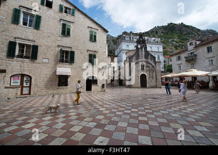 Église de Sveti Luka (Saint Luc) à Piazza Greca (grec), Kotor, Monténégro Banque D'Images