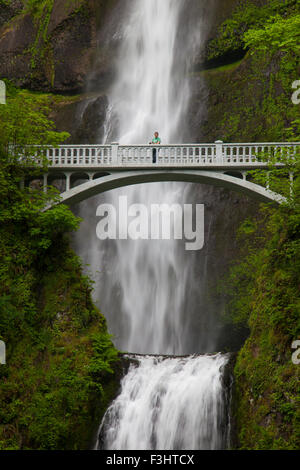 Un homme se tient sur le pont en face de Benson Multnomah Falls, en Oregon. Banque D'Images