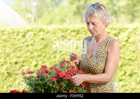 Une femme d'âge moyen avec une plante en fleurs dans le jardin Banque D'Images