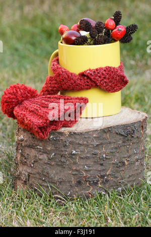 Coupe jaune d'automne décoration foulard laine enveloppé et bonnet de souche en bois sur le jardin de Banque D'Images